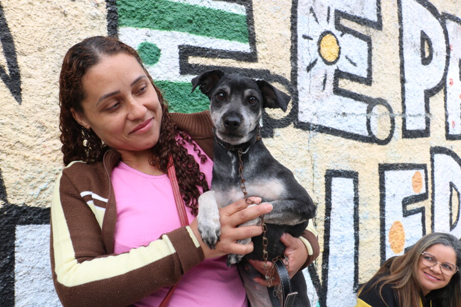 inscricoes-para-castracao-gratuita-de-caes-e-gatos-abrem-na-quarta-feira-6