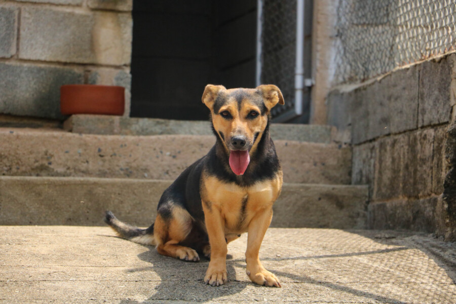 Matilde